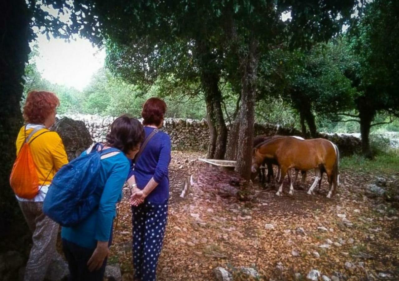 马丁纳弗兰卡Trullo Barratta别墅 外观 照片